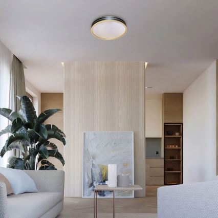 Rabalux - Ρυθμιζόμενο φωτιστικό οροφής LED/24W/230V 3000-6500K διάμ. 39 cm + τηλεχειριστήριο