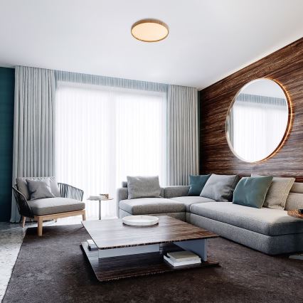 Rabalux - Φωτιστικό οροφής LED LED/24W/230V 3000K διάμετρος 38 cm