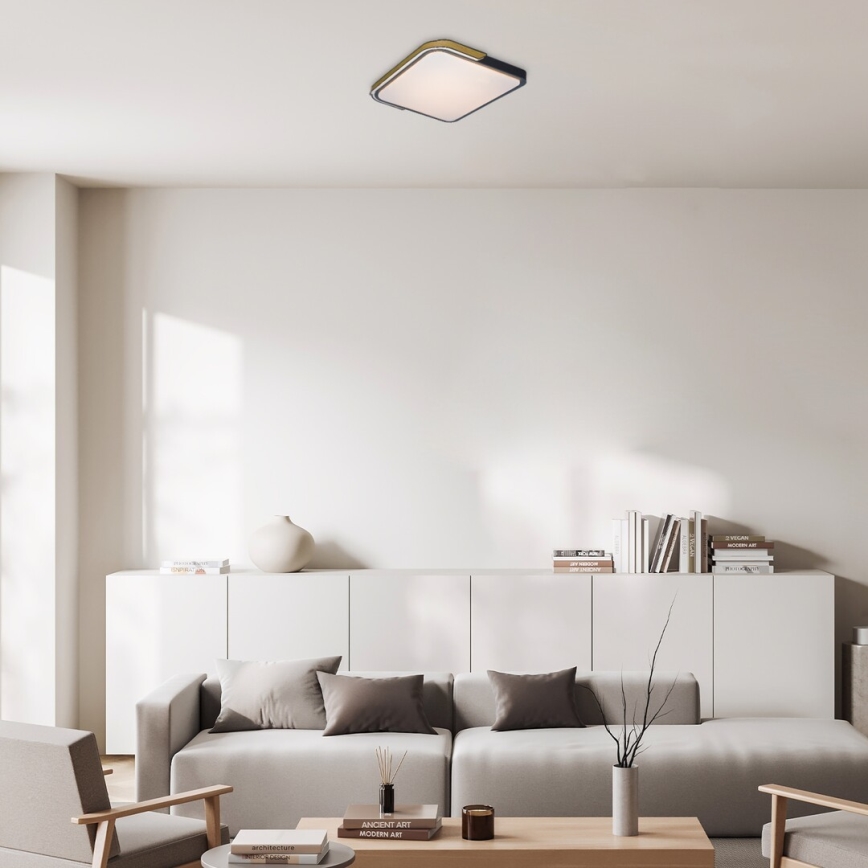 Rabalux - LED RGB dimmable φωτιστικό οροφής LED/48W/230V 3000K/4000K/6500K Wi-Fi Tuya + τηλεχειριστήριο