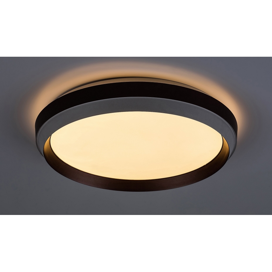Rabalux - Φωτιστικό οροφής LED LED/24W/230V 3000K