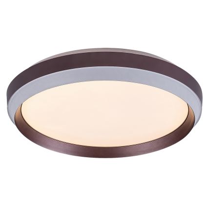 Rabalux - Φωτιστικό οροφής LED LED/24W/230V 3000K