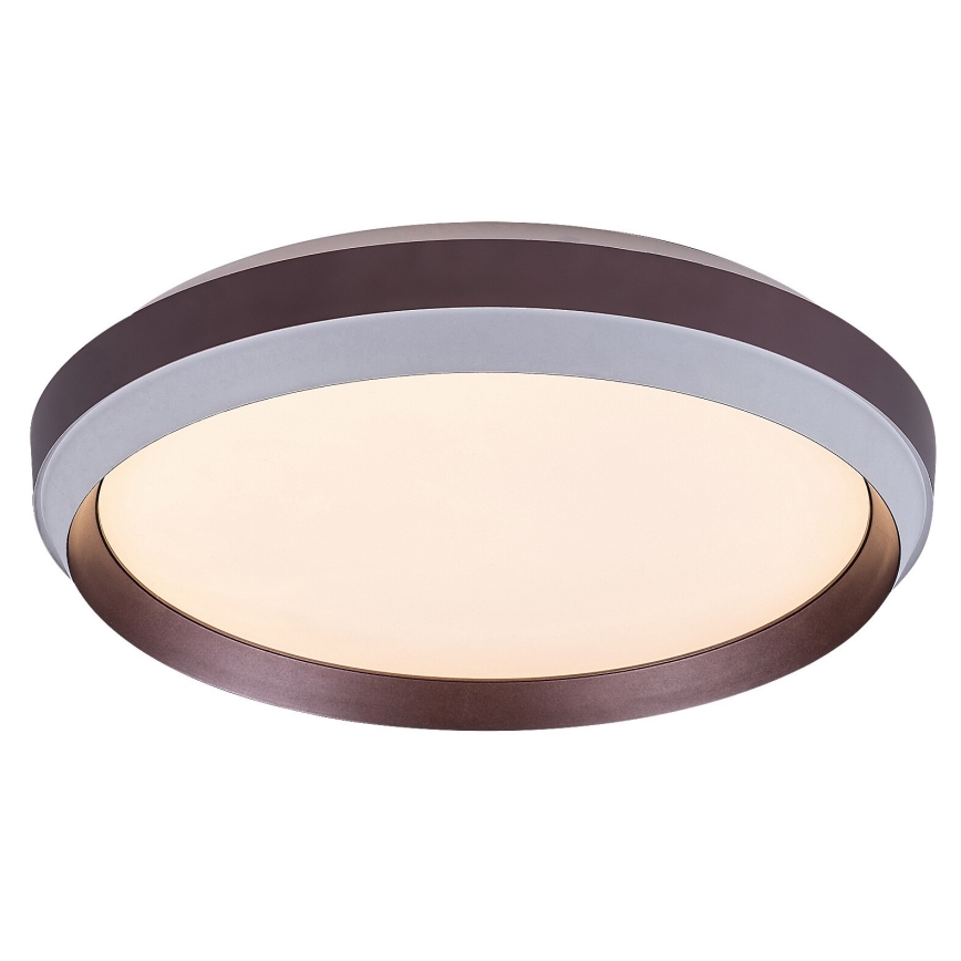 Rabalux - Φωτιστικό οροφής LED LED/24W/230V 3000K