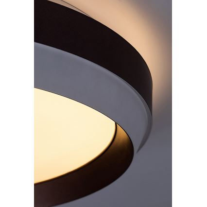 Rabalux - Φωτιστικό οροφής LED LED/24W/230V 3000K