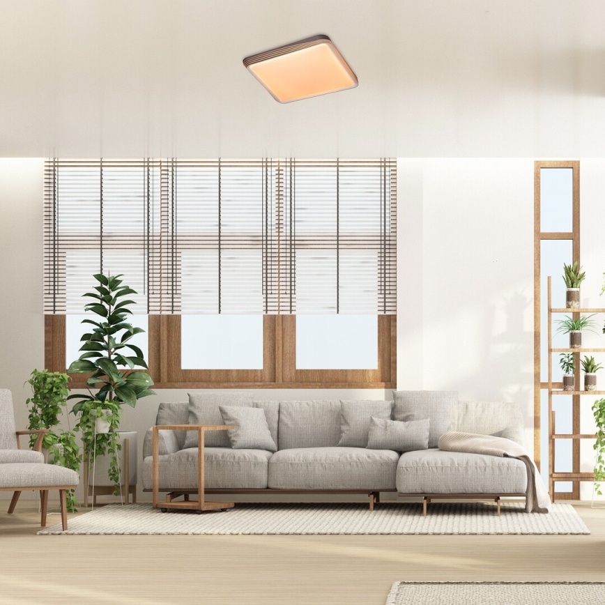 Rabalux - Φωτιστικό οροφής LED/40W/230V 3000K 48x48 cm
