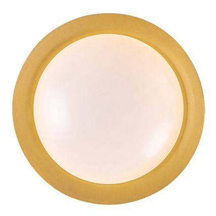 Rabalux - Φωτιστικό οροφής LED LED/24W/230V 3000K διάμετρος 40 cm