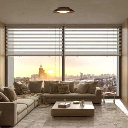 Rabalux - Φωτιστικό οροφής LED LED/20W/230V 3000K διάμετρος 30 cm