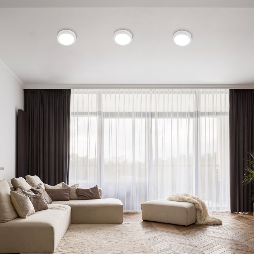 Rabalux - Φωτιστικό οροφής LED LED/24W/230V 4000K διάμετρος 22 cm λευκό