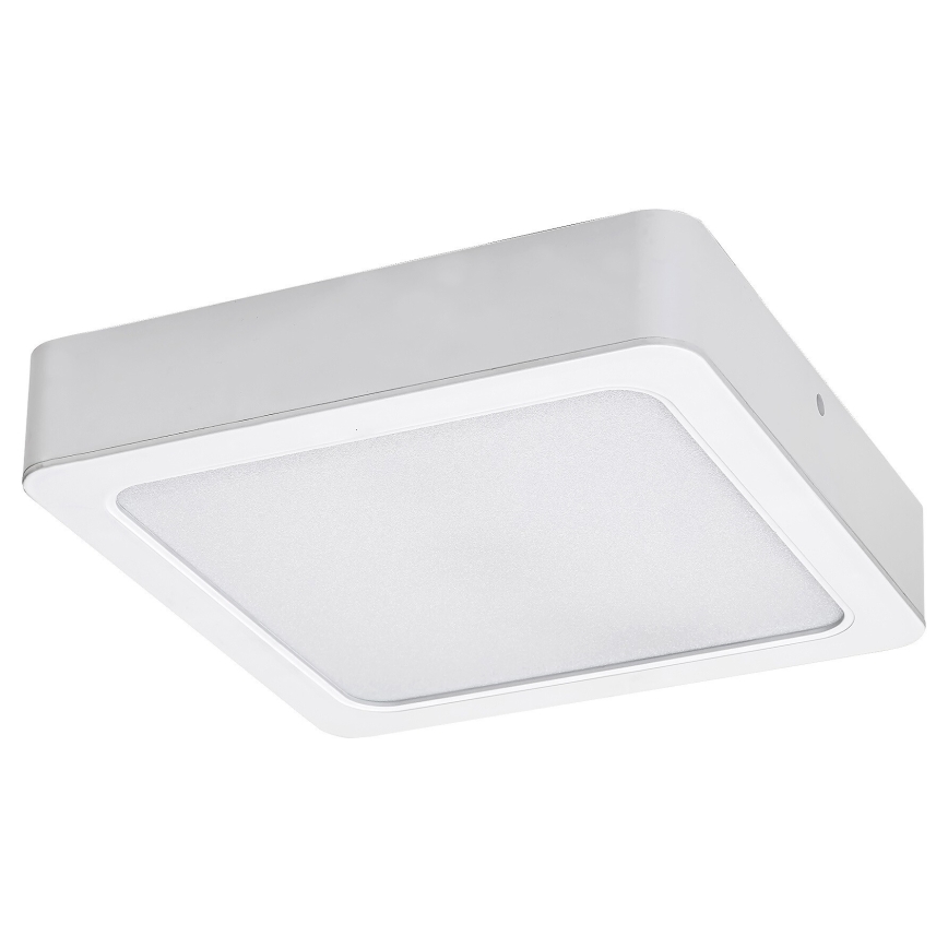 Rabalux - Φωτιστικό οροφής LED LED/15W/230V 4000K 16x16 cm λευκό