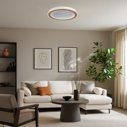Rabalux - Ρυθμιζόμενο φωτιστικό οροφής LED/24W/230V 3000-6500K διάμ. 40 cm + τηλεχειριστήριο