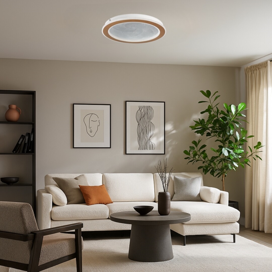 Rabalux - Ρυθμιζόμενο φωτιστικό οροφής LED/24W/230V 3000-6500K διάμ. 40 cm + τηλεχειριστήριο