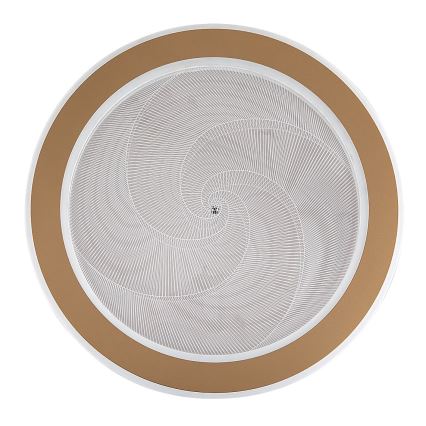 Rabalux - Ρυθμιζόμενο φωτιστικό οροφής LED/24W/230V 3000-6500K διάμ. 40 cm + τηλεχειριστήριο