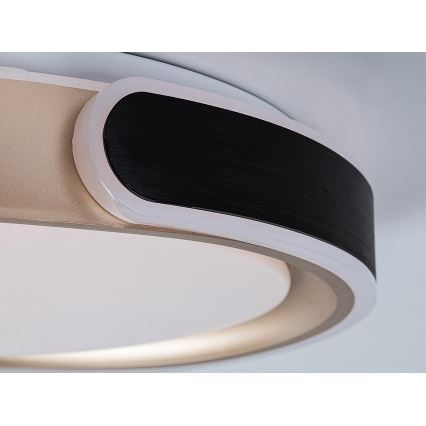 Rabalux - LED Dimmable φωτιστικό οροφής LED/48W/230V 3000-6500K + τηλεχειριστήριο