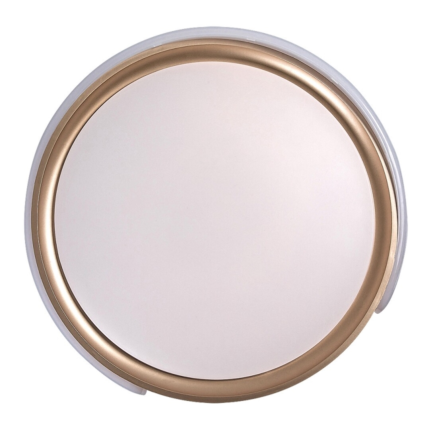 Rabalux - LED Dimmable φωτιστικό οροφής LED/48W/230V 3000-6500K + τηλεχειριστήριο