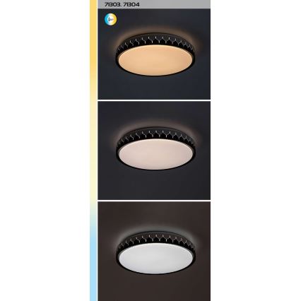 Rabalux - LED Dimmable φωτιστικό οροφής LED/48W/230V 3000-6500K + τηλεχειριστήριο