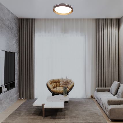 Rabalux - LED Dimmable φωτιστικό οροφής LED/48W/230V 3000-6500K + τηλεχειριστήριο