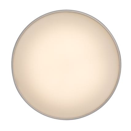 Rabalux - Φωτιστικό οροφής LED/24W/230V 3000K λευκό Ø 14 cm