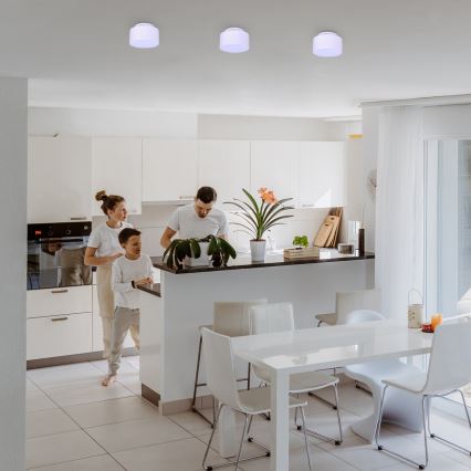 Rabalux - Φωτιστικό οροφής LED LED/24W/230V 3000K λευκό