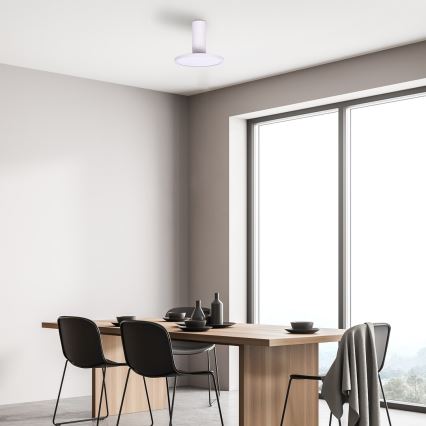 Rabalux - Φωτιστικό οροφής LED 20W 230V 3000K λευκό Ø 20 cm