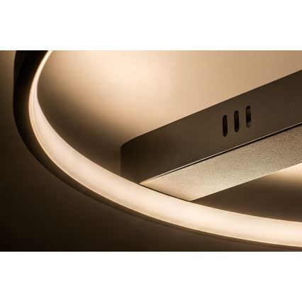 Rabalux - LED φωτιστικό οροφής LED/45W/230V 3000K 50x55 cm μαύρο