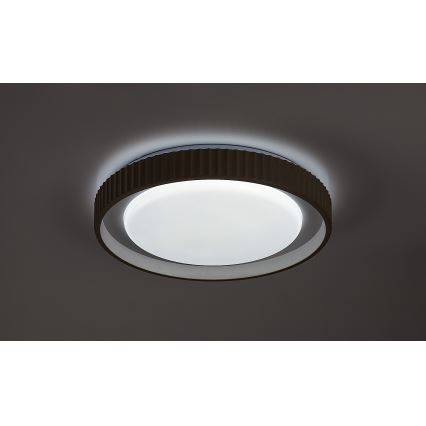 Rabalux - Ρυθμιζόμενο φωτιστικό οροφής LED/48W/230V 3000-6500K Ø 49,5 cm + τηλεχειριστήριο