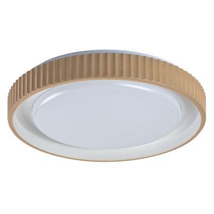 Rabalux - Ρυθμιζόμενο φωτιστικό οροφής LED/48W/230V 3000-6500K Ø 49,5 cm + τηλεχειριστήριο