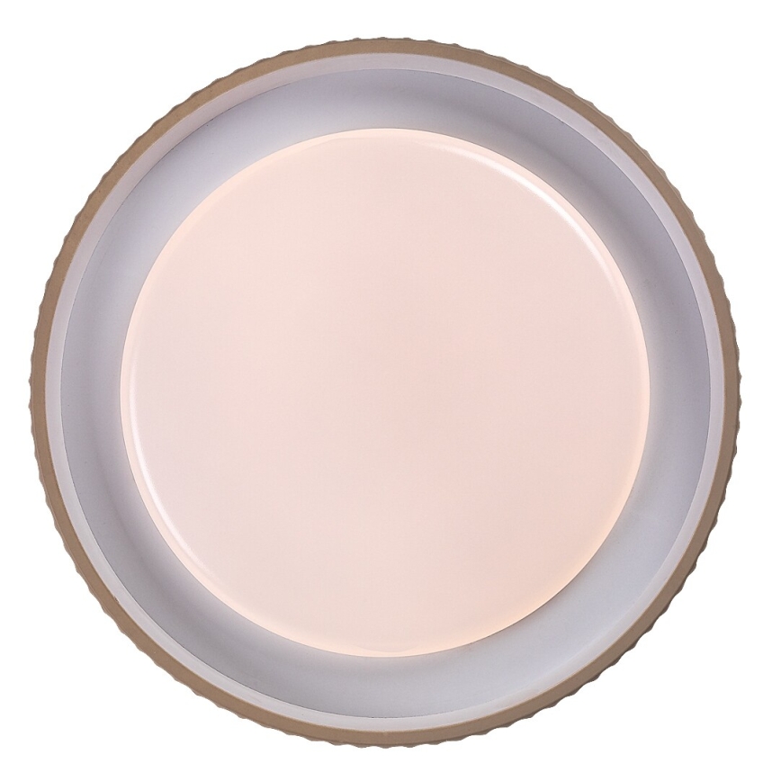 Rabalux - Ρυθμιζόμενο φωτιστικό οροφής LED/48W/230V 3000-6500K Ø 49,5 cm + τηλεχειριστήριο