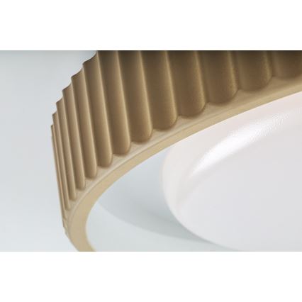 Rabalux - Ρυθμιζόμενο φωτιστικό οροφής LED/48W/230V 3000-6500K Ø 49,5 cm + τηλεχειριστήριο