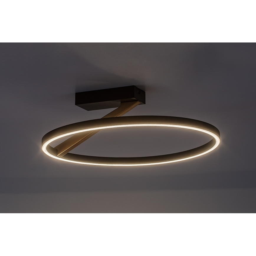Rabalux - Φωτιστικό οροφής LED 24W/230V 3000K διάμ. 45 εκ.