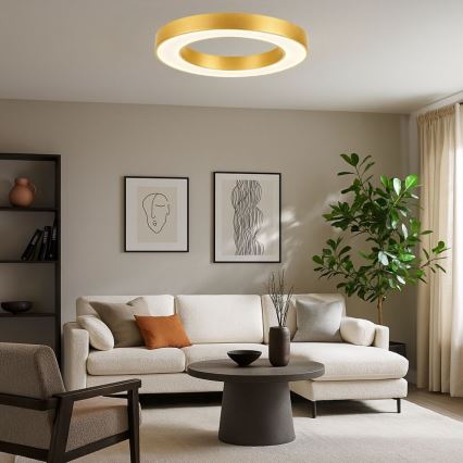 Rabalux - Ρυθμιζόμενο LED φωτιστικό οροφής LED/45W/230V 3000-6500K διάμ. 60 cm χρυσό + τηλεχειριστήριο