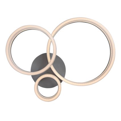 Rabalux - LED φωτιστικό οροφής LED/24W/230V 3000/4000/6500K 38x51 cm ματ χρώμιο