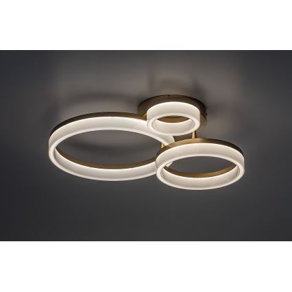 Rabalux - Φωτιστικό οροφής LED LED/24W/230V 3000/4000/6500K χρυσό 38x51 cm