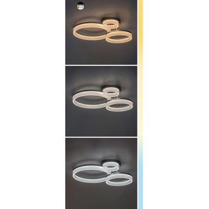 Rabalux - Φωτιστικό οροφής LED LED/24W/230V 3000/4000/6500K μαύρο 38x51 cm