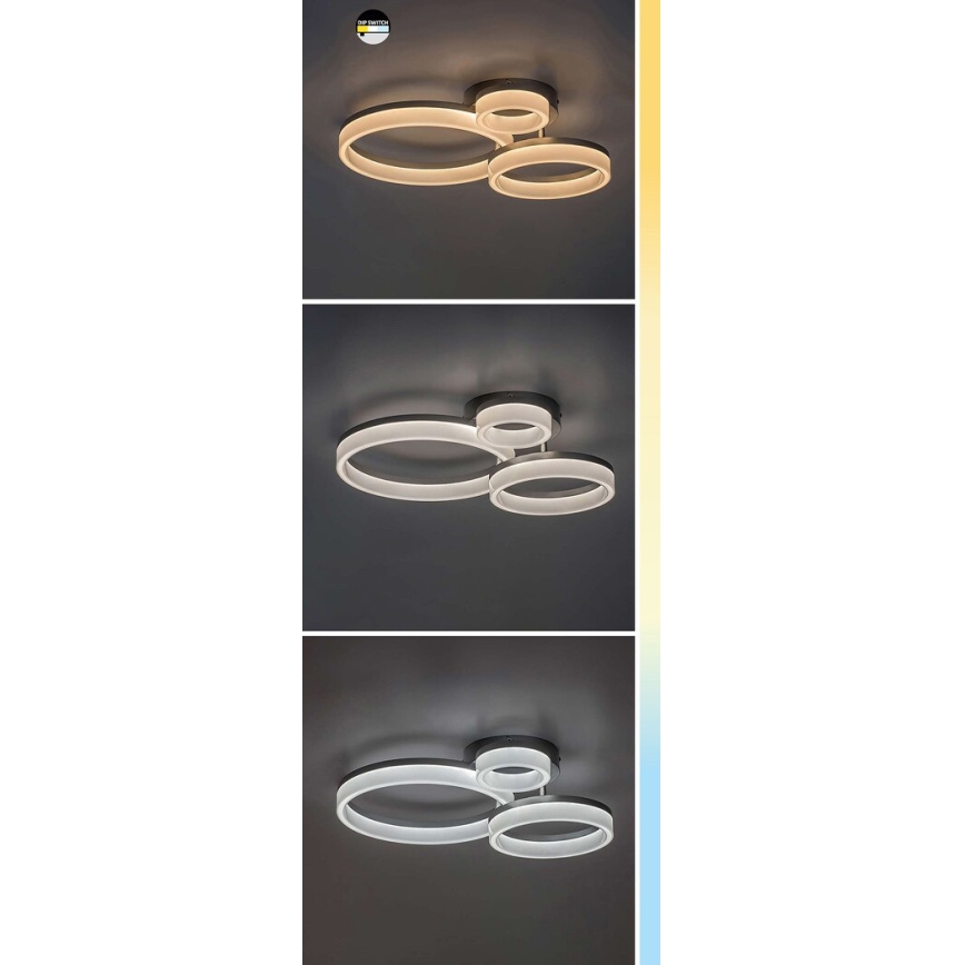 Rabalux - Φωτιστικό οροφής LED LED/24W/230V 3000/4000/6500K μαύρο
