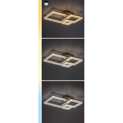 Rabalux - Φωτιστικό οροφής LED LED/22W/230V 3000/4000/6500K μαύρο 47x47 cm