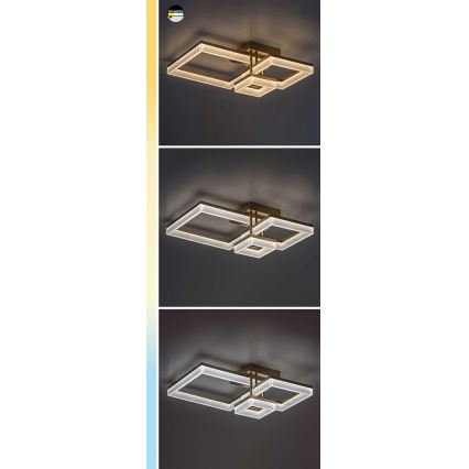 Rabalux - Φωτιστικό οροφής LED LED/22W/230V 3000/4000/6500K ματ χρώμιο