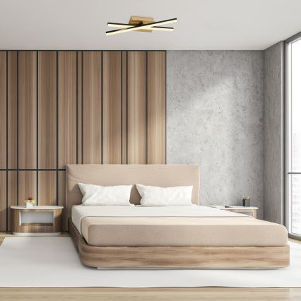 Rabalux - LED Φωτιστικό οροφής LED/16W/230V 4000K 13x41 cm