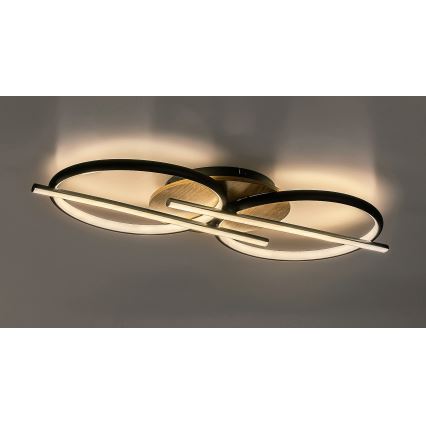 Rabalux - Φωτιστικό οροφής LED LED/40W/230V 3000/4000/6500K