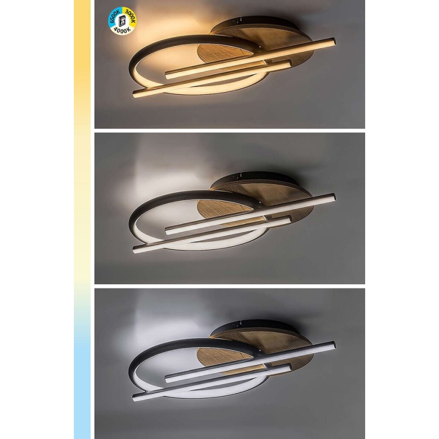 Rabalux - Φωτιστικό οροφής LED LED/40W/230V 3000/4000/6500K