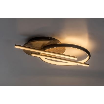 Rabalux - Φωτιστικό οροφής LED LED/40W/230V 3000/4000/6500K