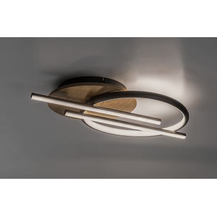 Rabalux - Φωτιστικό οροφής LED LED/40W/230V 3000/4000/6500K