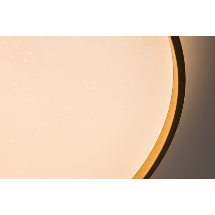 Rabalux - Ρυθμιζόμενο LED φωτιστικό οροφής LED/60W/230V 3000-6500K διάμ. 58 εκ. + τηλεχειριστήριο