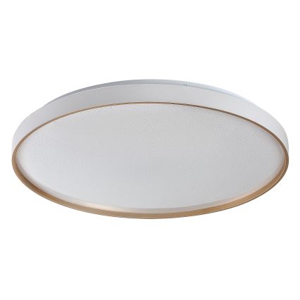 Rabalux - Ρυθμιζόμενο LED φωτιστικό οροφής LED/80W/230V 3000-6500K διάμ. 77 εκ. + τηλεχειριστήριο