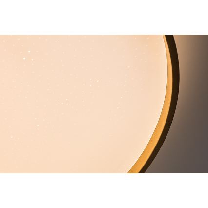 Rabalux - Ρυθμιζόμενο LED φωτιστικό οροφής LED/80W/230V 3000-6500K διάμ. 77 εκ. + τηλεχειριστήριο