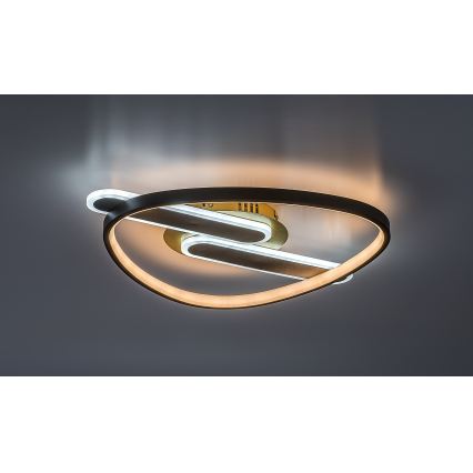 Rabalux - Ρυθμιζόμενο φωτιστικό οροφής LED/60W/230V 3000-6000K 53x45 cm + τηλεχειριστήριο