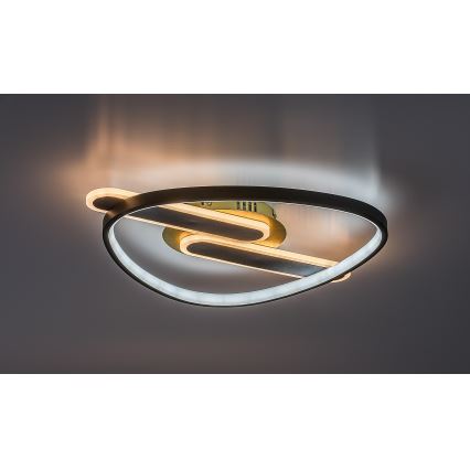 Rabalux - Ρυθμιζόμενο φωτιστικό οροφής LED/60W/230V 3000-6000K 53x45 cm + τηλεχειριστήριο