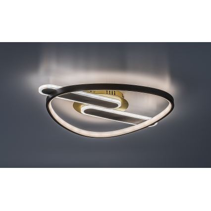 Rabalux - Ρυθμιζόμενο φωτιστικό οροφής LED/60W/230V 3000-6000K 53x45 cm + τηλεχειριστήριο