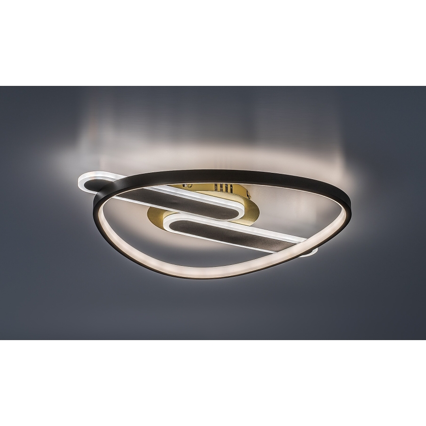 Rabalux - Ρυθμιζόμενο φωτιστικό οροφής LED/60W/230V 3000-6000K 53x45 cm + τηλεχειριστήριο