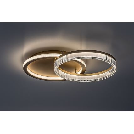 Rabalux - Ρυθμιζόμενο φωτιστικό οροφής LED/22W/230V 3000-6500K 53,5x35 cm + τηλεχειριστήριο