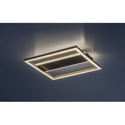 Rabalux - LED Φωτιστικό οροφής LED/24W/230V 33x33 cm