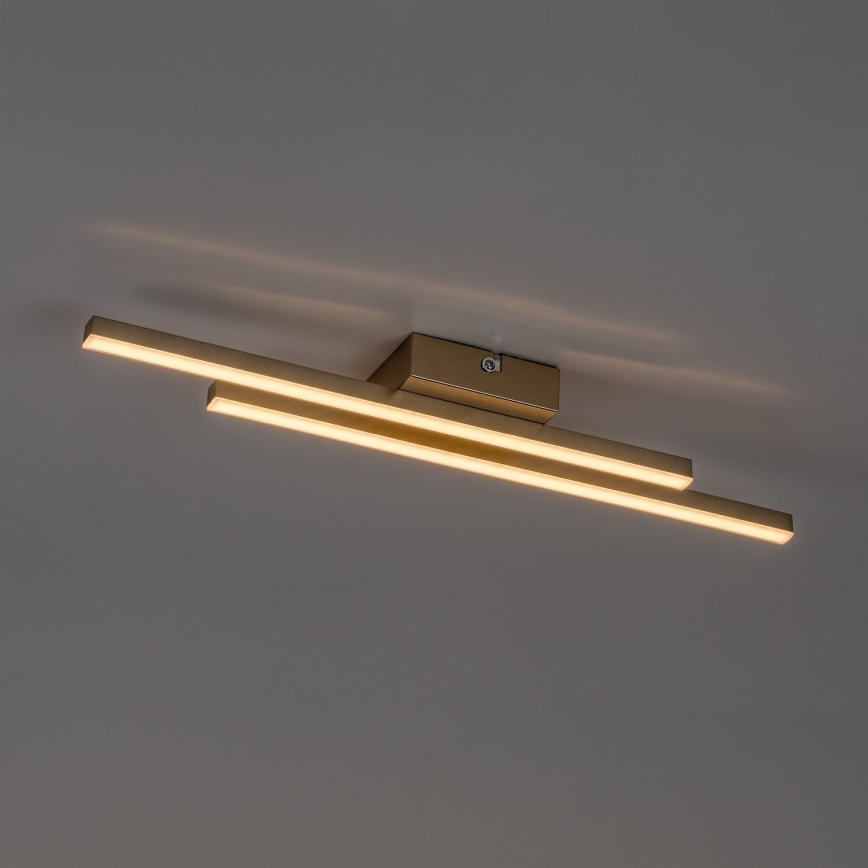 Rabalux - Φωτιστικό οροφής LED/12W/230V 3000K χρυσό